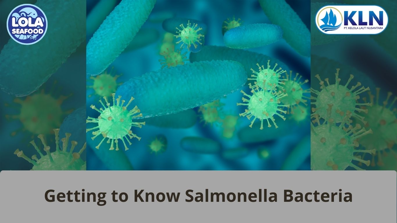 Getting to Know Salmonella Bacteria